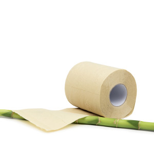 Private Label Unbleached Bathroom Tissue Single Roll Private Label Unbleached Bathroom Tissue Single Roll